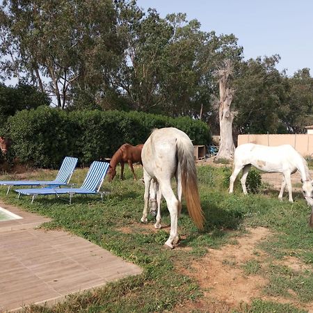 Centro Ecuestre Girasol Villa Chiclana de la Frontera Bagian luar foto